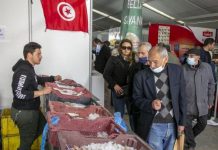 اقتراض التونسيين من البنوك في أدنى مستوياته اقتراض التونسيين من البنوك في أدنى مستوياته