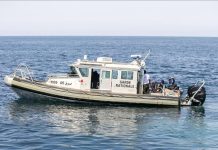 إحباط 12 عملية هجرة غير نظامية إحباط 12 عملية هجرة غير نظامية