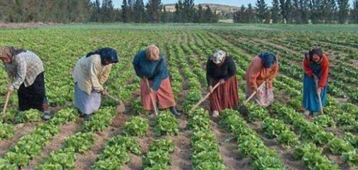 مشروع قانون المالية 2025 يقترح إحداث مشروع قانون المالية 2025 يقترح إحداث