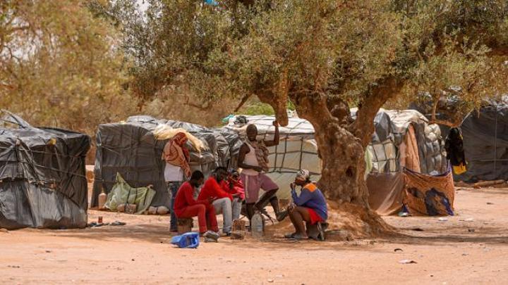 أزمة المهاجرين في جبنيانة تتصاعد مع انطلاق موسم جني الزيتون