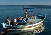 عصابات الصيد التونسية… تجريف قاع البحر وتدمير بيئته عصابات الصيد التونسية... تجريف قاع البحر وتدمير بيئته