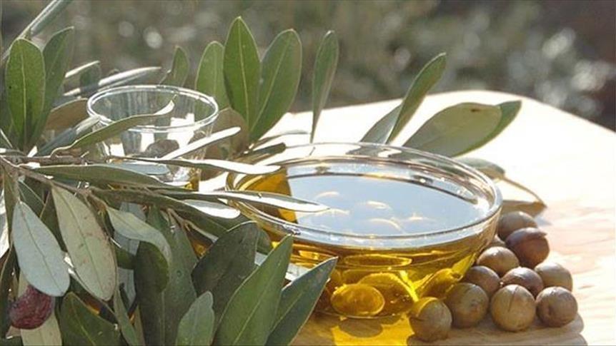 خلال الموسم الحالي.. توقعات بإنتاج 340 ألف طن من زيت الزيتون
