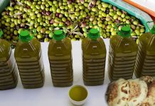 أسعار زيت الزيتون في تونس.. تخفيض حكومي تحبطه لوبيات السوق