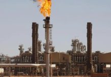 استقرار تونس مفتاح الأمن الطاقي الجزائري-الأوروبي استقرار تونس مفتاح الأمن الطاقي الجزائري-الأوروبي