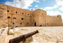 الجزائريون والليبيون يتصدرون عدد السياح خلال 2024 الجزائريون والليبيون يتصدرون عدد السياح خلال 2024