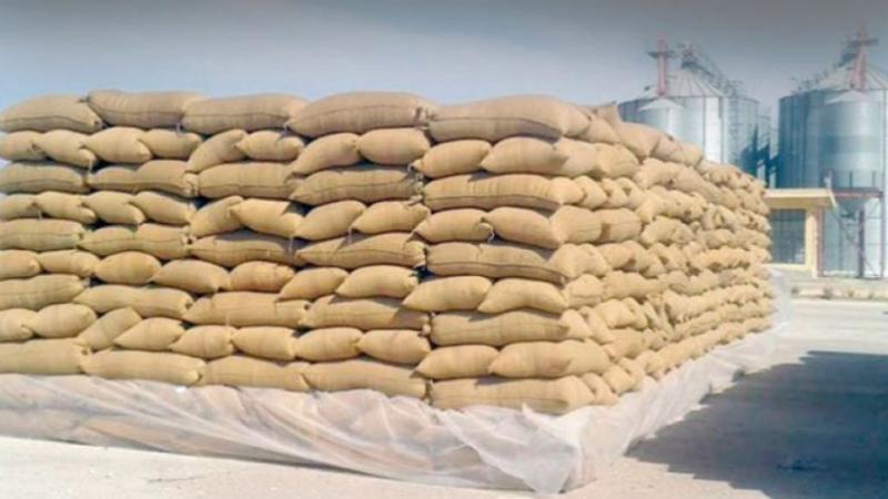 سليانة: المصادقة على 11 مركزا لتجميع الحبوب سليانة: المصادقة على 11 مركزا لتجميع الحبوب