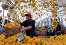 الفواكه عصية على جيوب التونسيين.. غلاء قياسي الفواكه عصية على جيوب التونسيين.. غلاء قياسي