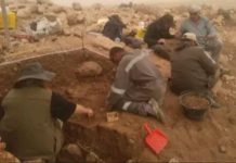 حفريات تونس تكشف جوانب الاستيطان البشري القديم حفريات تونس تكشف جوانب الاستيطان البشري القديم