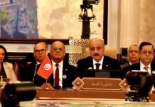 تونس تؤكد ضرورة تعزيز التعاون العربي لتحقيق تنمية شاملة تونس تؤكد ضرورة تعزيز التعاون العربي لتحقيق تنمية شاملة