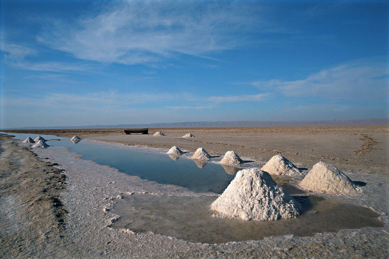 7 بلدان تحتكر 81% من المخزون العالمي للفوسفات 7 بلدان تحتكر 81% من المخزون العالمي للفوسفات