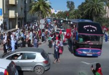 وصول قافلة الصمود لكسر الحصار عن غزة إلى الحدود الليبية وصول قافلة الصمود لكسر الحصار عن غزة إلى الحدود الليبية