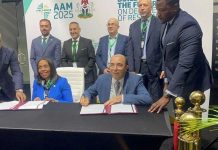 شراكة بين إئتلاف التنمية والبنك الإفريقي لتسريع مشاريع إفريقيا شراكة بين إئتلاف التنمية والبنك الإفريقي لتسريع مشاريع إفريقيا