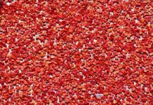 الطماطم المجففة بتونس.. مشروع واعد وأسواق جاهزة الطماطم المجففة بتونس.. مشروع واعد وأسواق جاهزة