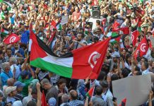 أسطول الصمود المغاربي يواصل استعداداته للإبحار نحو غزة أسطول الصمود المغاربي يواصل استعداداته للإبحار نحو غزة