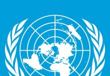 شبكة كلنا غزة تطالب الأمم المتحدة بوقف إبادة الفلسطينيين فورًا شبكة كلنا غزة تطالب الأمم المتحدة بوقف إبادة الفلسطينيين فورًا