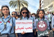 نسمات صيف سامة.. ماذا يحدث في قابس التونسية؟ نسمات صيف سامة.. ماذا يحدث في قابس التونسية؟