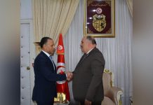 الاتفاق على تطوير الاتفاقيات الثنائية بين تونس ومصر الاتفاق على تطوير الاتفاقيات الثنائية بين تونس ومصر