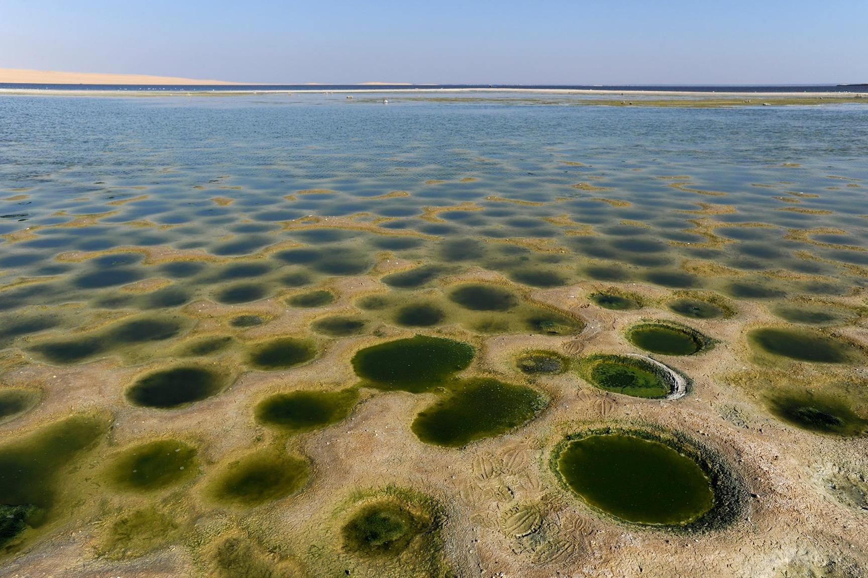 ما السر وراء تحول بحيرة قارون المصرية من عذبة إلى مالحة؟ ما السر وراء تحول بحيرة قارون المصرية من عذبة إلى مالحة؟