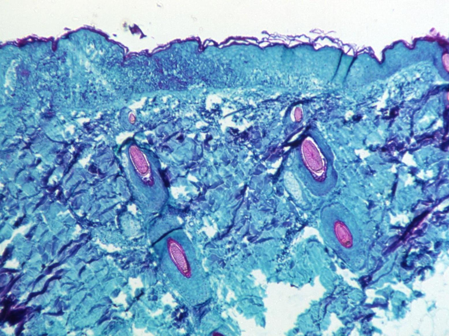 علماء يرون الأجسام الخفية في الأماكن المعتمة علماء يرون الأجسام الخفية في الأماكن المعتمة