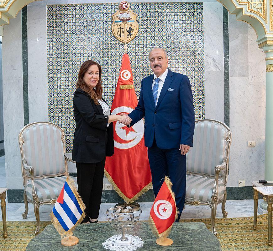 النفطي يلتقي سفيرة كوبا لدى تونس بمناسبة انتهاء مهامها النفطي يلتقي سفيرة كوبا لدى تونس بمناسبة انتهاء مهامها