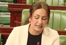 النائبة نور الهدى السبائطي: ما تعيشه قابس إرهاب بيئي النائبة نور الهدى السبائطي: ما تعيشه قابس إرهاب بيئي