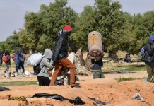 منظمة الهجرة الدولية تسهّل وثائق ترحيل المهاجرين من تونس منظمة الهجرة الدولية تسهّل وثائق ترحيل المهاجرين من تونس