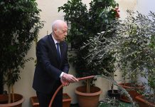 سعيد يشرف بمقر المجلس الاعلى للتربية على الاحتفال بعيد الشجرة سعيد يشرف بمقر المجلس الاعلى للتربية على الاحتفال بعيد الشجرة