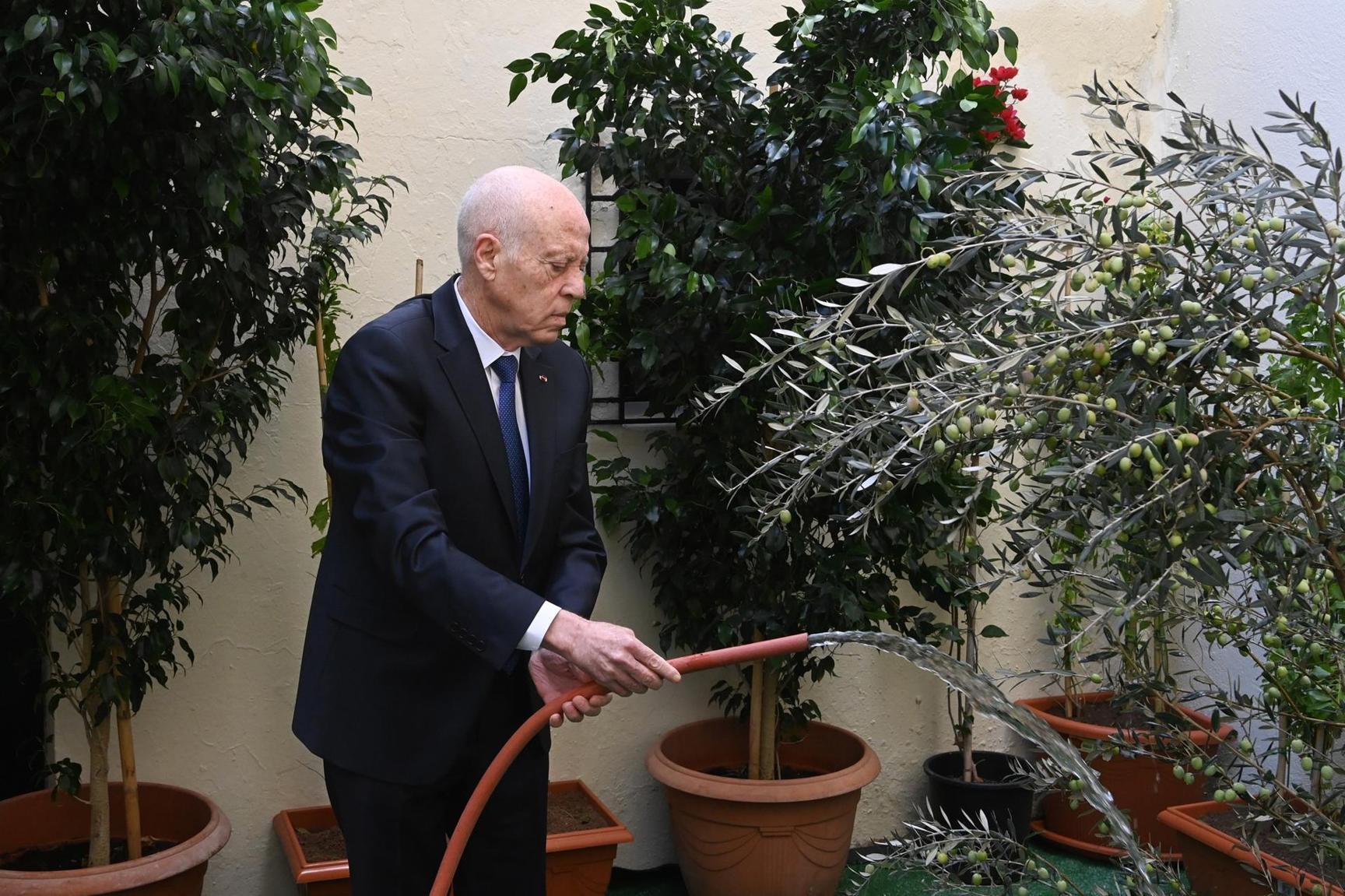 سعيد يشرف بمقر المجلس الاعلى للتربية على الاحتفال بعيد الشجرة سعيد يشرف بمقر المجلس الاعلى للتربية على الاحتفال بعيد الشجرة