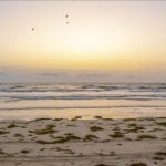 السلطات تسعى لتنظيف 9 آلاف هكتار ملوثة في بحر قابس السلطات تسعى لتنظيف 9 آلاف هكتار ملوثة في بحر قابس