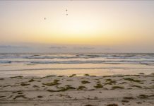 السلطات تسعى لتنظيف 9 آلاف هكتار ملوثة في بحر قابس السلطات تسعى لتنظيف 9 آلاف هكتار ملوثة في بحر قابس