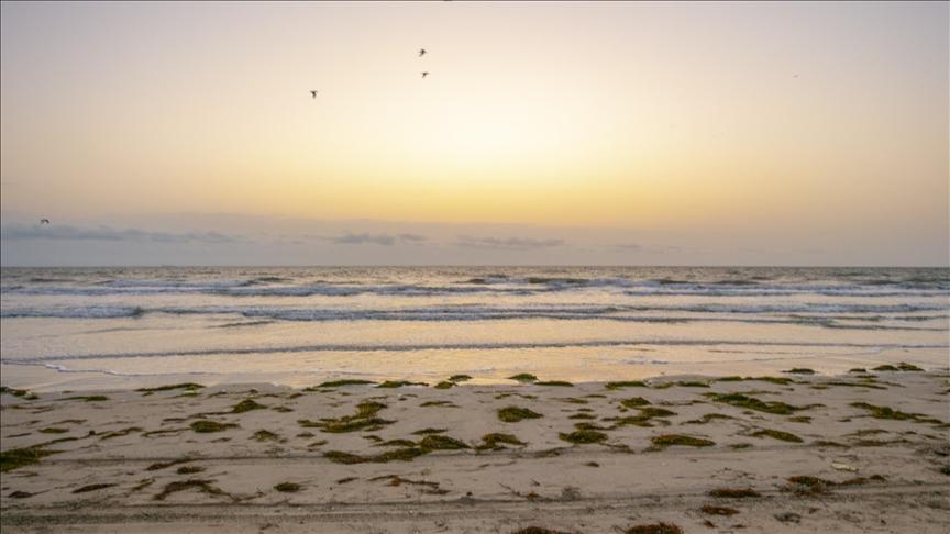 السلطات تسعى لتنظيف 9 آلاف هكتار ملوثة في بحر قابس السلطات تسعى لتنظيف 9 آلاف هكتار ملوثة في بحر قابس