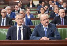 دعوات لتحديث الدبلوماسية وخطة وطنية لاستثمار كفاءات الجالية دعوات لتحديث الدبلوماسية وخطة وطنية لاستثمار كفاءات الجالية