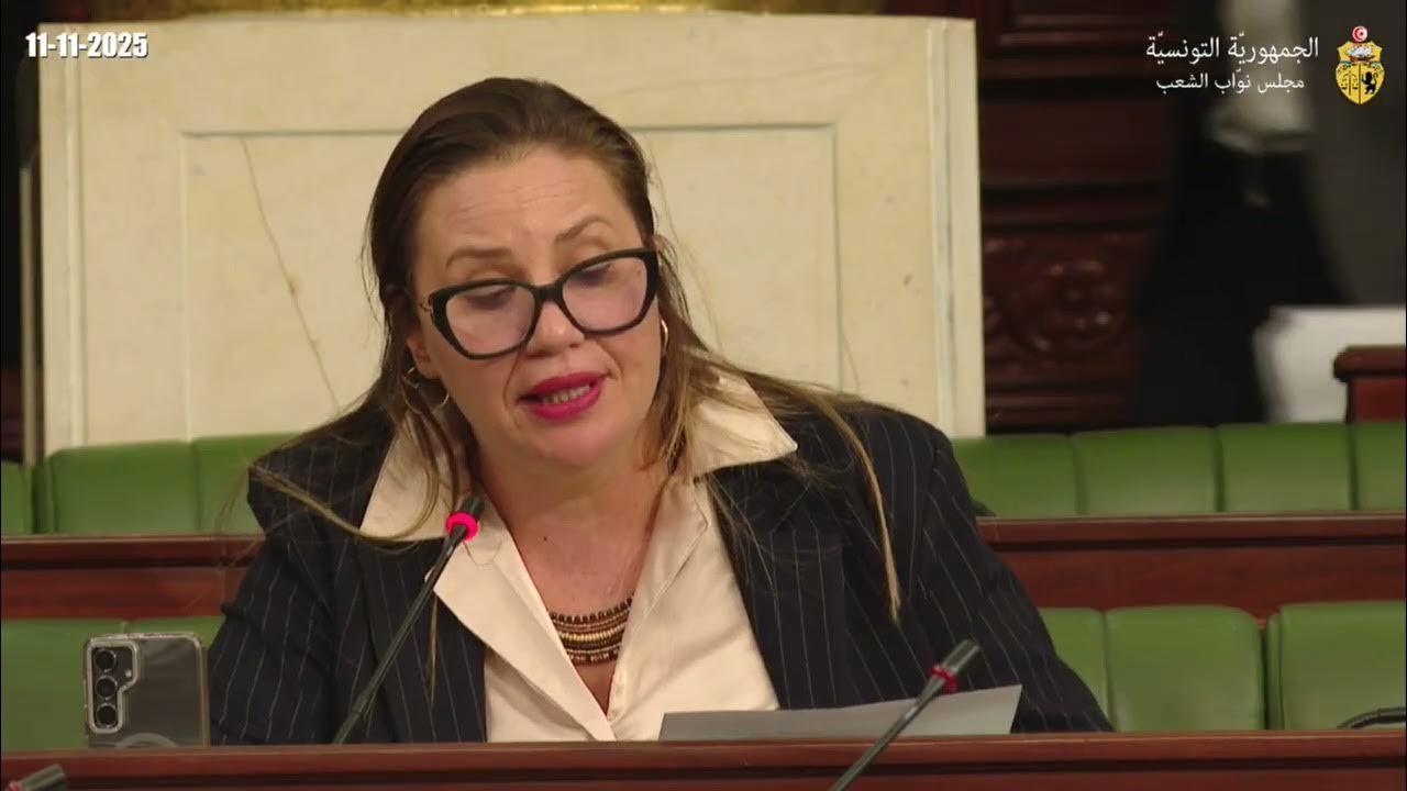 المسدي: الهجرة غير النظامية ملف أمن قومي بدرجة أولى'