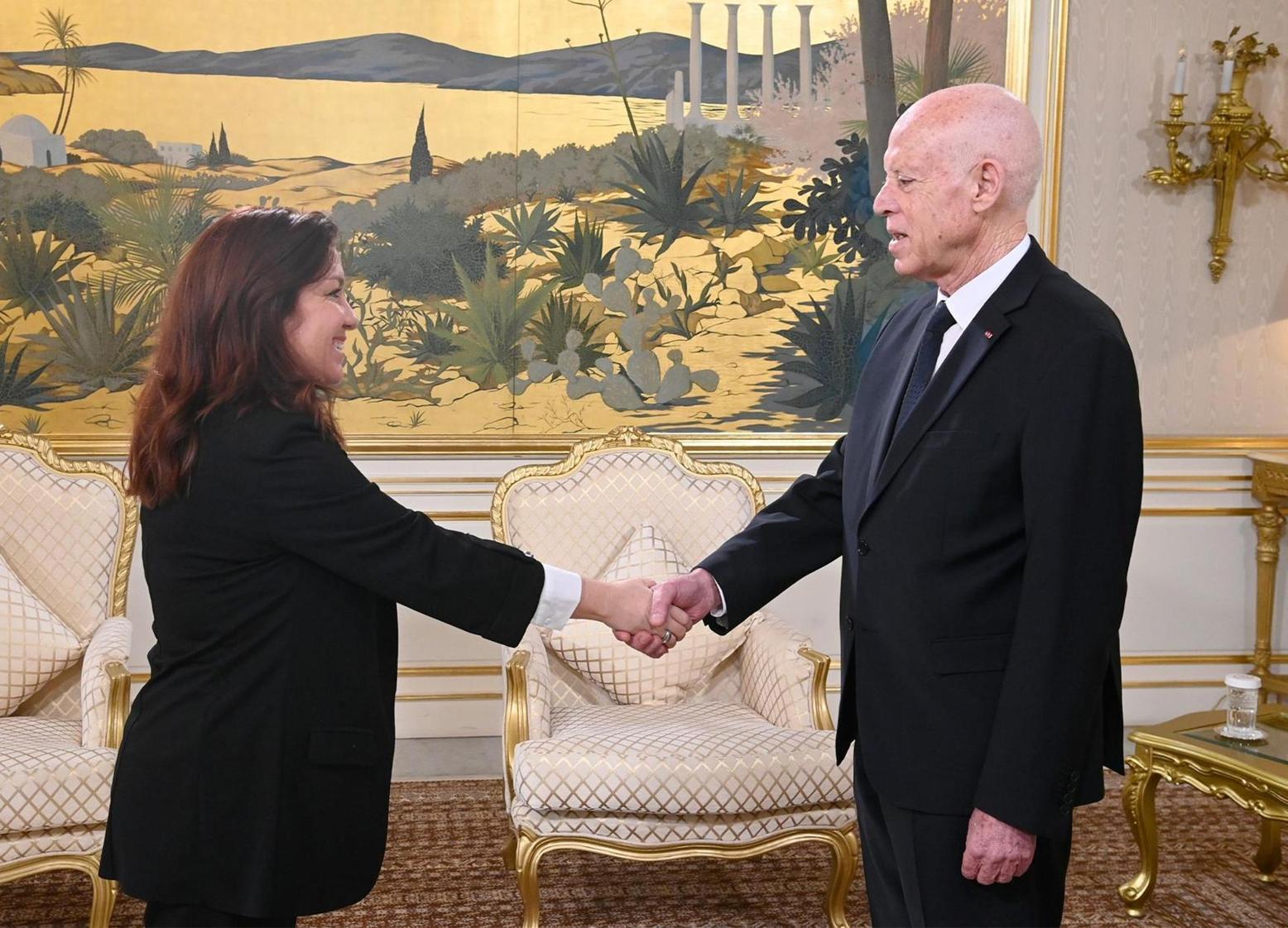 سعيد يلتقي سفيرة جمهورية كوبا لدى تونس بمناسبة انتهاء مهامها