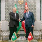 تونس تولي أهمية لتفعيل دور جامعة الدول العربية تونس تولي أهمية لتفعيل دور جامعة الدول العربية