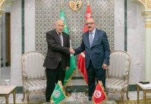 تونس تولي أهمية لتفعيل دور جامعة الدول العربية تونس تولي أهمية لتفعيل دور جامعة الدول العربية