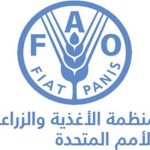 تونس تدعو إلى العمل على مجابهة الأزمة الإنسانية الحادة في غزة تونس تدعو إلى العمل على مجابهة الأزمة الإنسانية الحادة في غزة