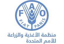 تونس تدعو إلى العمل على مجابهة الأزمة الإنسانية الحادة في غزة تونس تدعو إلى العمل على مجابهة الأزمة الإنسانية الحادة في غزة