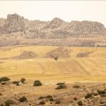 تونس.. هل تحل مياه الشمال أزمة الجفاف؟ تونس.. هل تحل مياه الشمال أزمة الجفاف؟