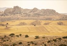 تونس.. هل تحل مياه الشمال أزمة الجفاف؟ تونس.. هل تحل مياه الشمال أزمة الجفاف؟