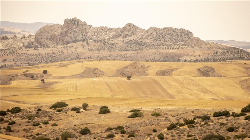 تونس.. هل تحل مياه الشمال أزمة الجفاف؟ تونس.. هل تحل مياه الشمال أزمة الجفاف؟