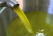 خبير: الدعوات لإيقاف إنتاج زيت الزيتون غير مبررة خبير: الدعوات لإيقاف إنتاج زيت الزيتون غير مبررة