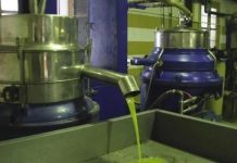 بدء برنامج تخزين زيت الزيتون في تونس 2025 بدء برنامج تخزين زيت الزيتون في تونس 2025