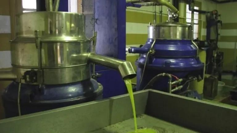 بدء برنامج تخزين زيت الزيتون في تونس 2025 بدء برنامج تخزين زيت الزيتون في تونس 2025