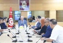 مجموعة ووهان يانغلو الصينية تخطط للاستثمار في تونس مجموعة ووهان يانغلو الصينية تخطط للاستثمار في تونس