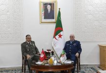 لقاء رفيع المستوى بين قيادات الجيش الجزائري والتونسي لقاء رفيع المستوى بين قيادات الجيش الجزائري والتونسي