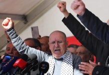 كيف علق التونسيون على استقالة الطبوبي من الاتحاد العام التونسي للشغل؟ كيف علق التونسيون على استقالة الطبوبي من الاتحاد العام التونسي للشغل؟