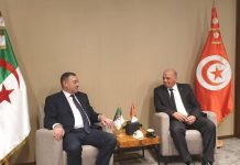 النقل البري والبحري بين الجزائر وتونس.. هذا ما تم الاتفاق عليه النقل البري والبحري بين الجزائر وتونس.. هذا ما تم الاتفاق عليه