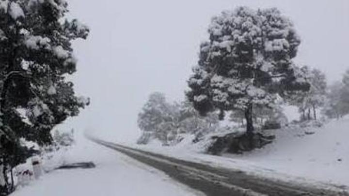 الثلوج تغلق طرقا وتحاصر سيارات بالجزائر وتغطي مناطق واسعة بتونس الثلوج تغلق طرقا وتحاصر سيارات بالجزائر وتغطي مناطق واسعة بتونس