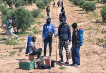 المنظمة الدولية للهجرة تسجل زيادة بـ28 بالمائة في العودة الطوعية المنظمة الدولية للهجرة تسجل زيادة بـ28 بالمائة في العودة الطوعية